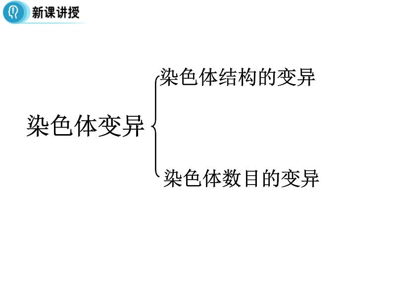 高中人教版生物必修二课件:第5章 第2节《染色体变异》课时 1课件(共29 张PPT)05