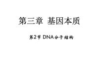 高中生物人教版 (新课标)必修2《遗传与进化》第2节 DNA分子的结构课文内容课件ppt