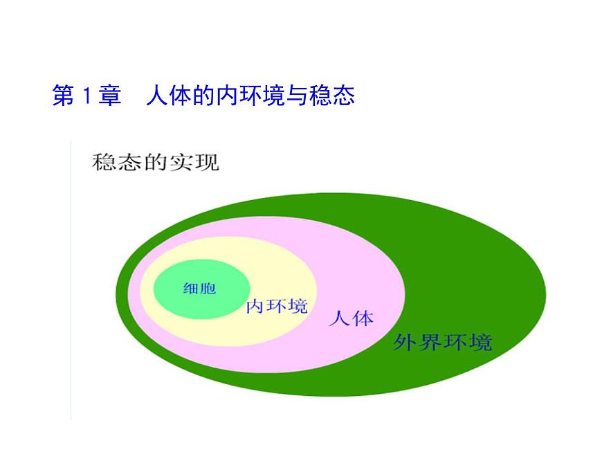 人教版高二生物必修3課件：1.1細胞生活的環(huán)境2第1頁