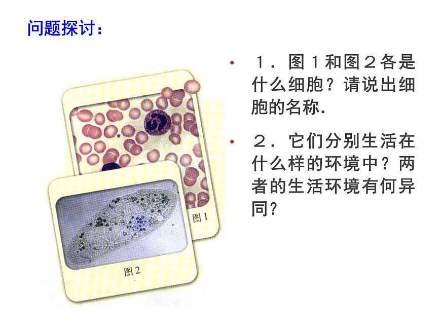 人教版高二生物必修3課件：1.1細胞生活的環(huán)境2第3頁
