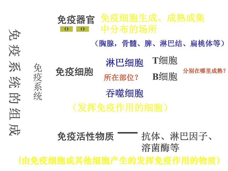 人教版高二生物必修3課件：2.4 免疫調(diào)節(jié) （共100張PPT）第3頁