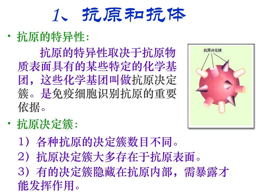 人教版高二生物必修3課件：2.4 免疫調(diào)節(jié) （共100張PPT）第6頁