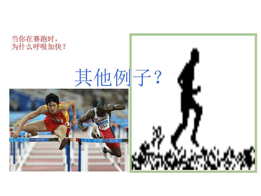 人教版高二生物必修3課件：2.3 神經(jīng)調(diào)節(jié)與體液調(diào)節(jié)的關(guān)系 （共41張PPT）第5頁(yè)