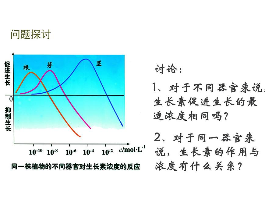 人教版高二生物必修3課件：3.2 生長(zhǎng)素的生理作用2第4頁(yè)