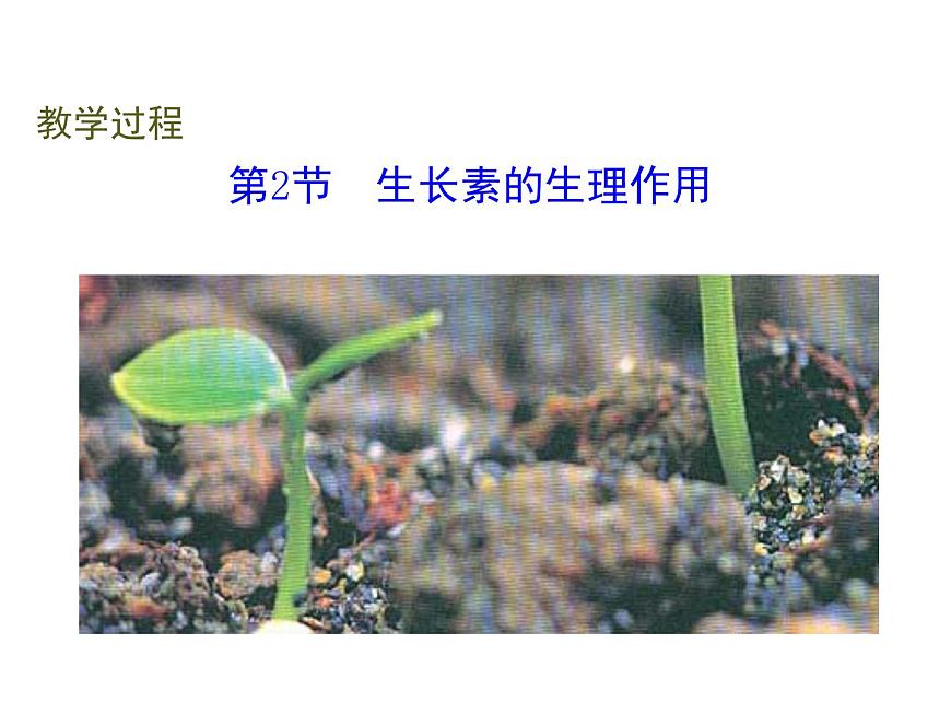 人教版高二生物必修3課件：3.2 生長(zhǎng)素的生理作用2第5頁(yè)
