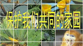 高中第2节 保护我们共同的家园课文内容课件ppt