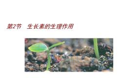 高中生物人教版 (新课标)必修3《稳态与环境》第2节 生长素的生理作用课堂教学课件ppt