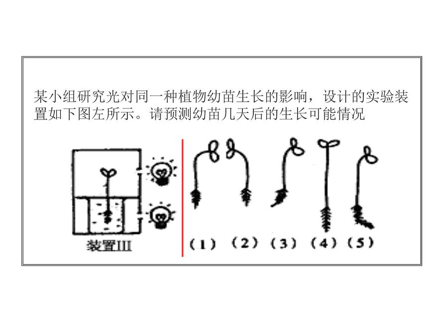 人教版高二生物必修3課件：3.2 生長素的生理作用1第2頁