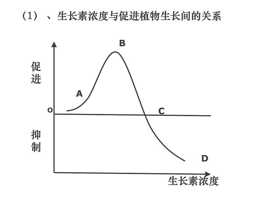 人教版高二生物必修3課件：3.2 生長素的生理作用1第6頁