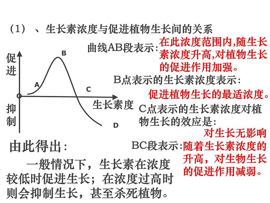 人教版高二生物必修3課件：3.2 生長素的生理作用1第7頁