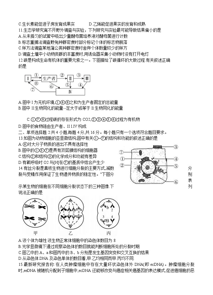广东省湛江市2021届高三上学期11月调研测试 生物(含答案)03