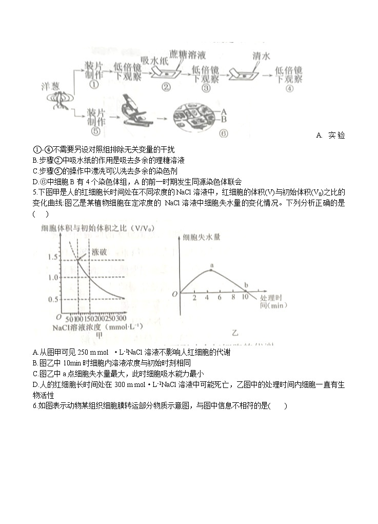 辽宁省沈阳市郊联体2021届高三上学期期中考试 生物(含答案)第2页
