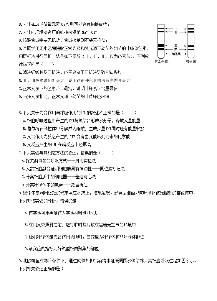 福建省龙岩市六县(市区)一中2021届高三上学期期中联考 生物(含答案) 试卷02