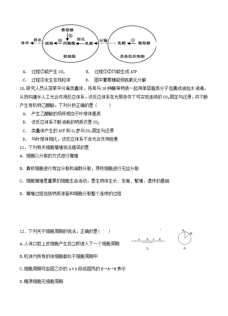 福建省龙岩市六县(市区)一中2021届高三上学期期中联考 生物(含答案) 试卷03