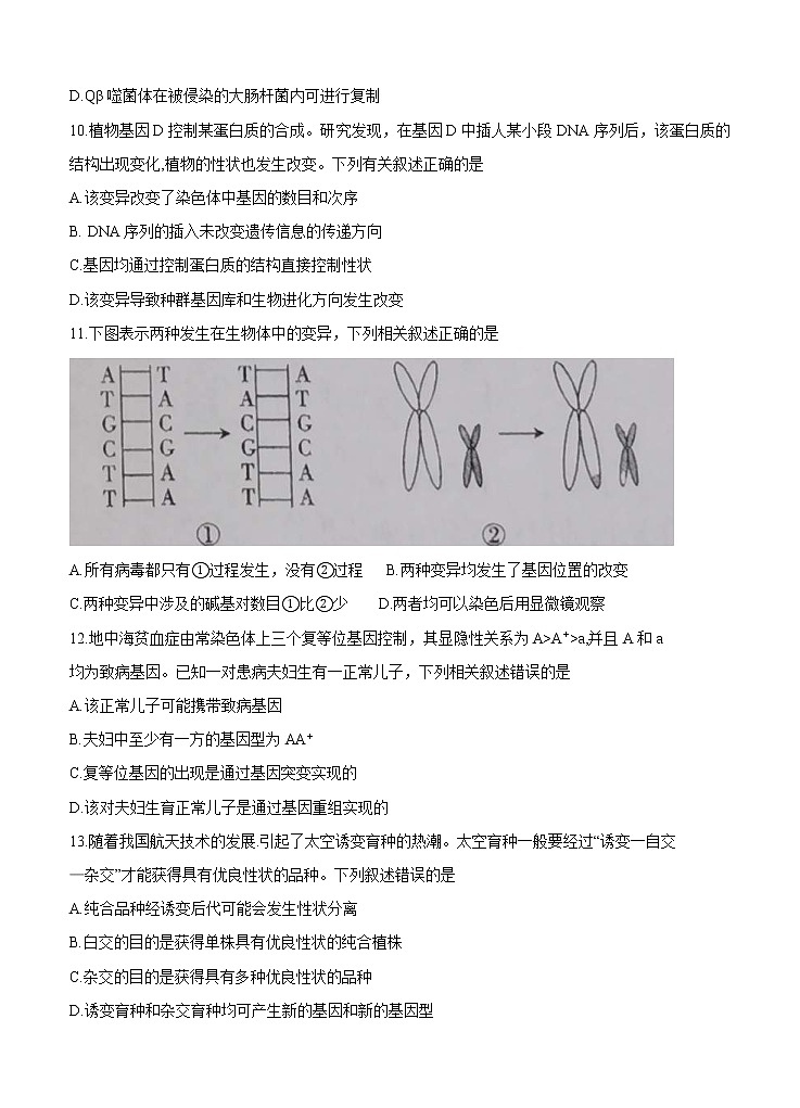 辽宁省辽西联合校2021届高三上学期期中考试 生物(含答案)第3页
