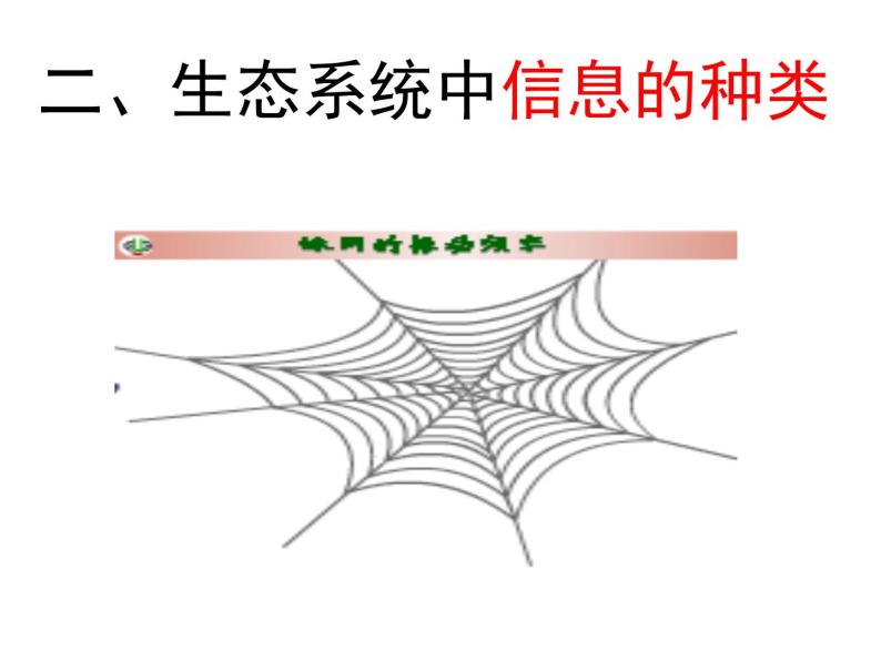 5.4 生态系统的信息传递 课件05