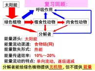 5.3 生态系统的物质循环 课件