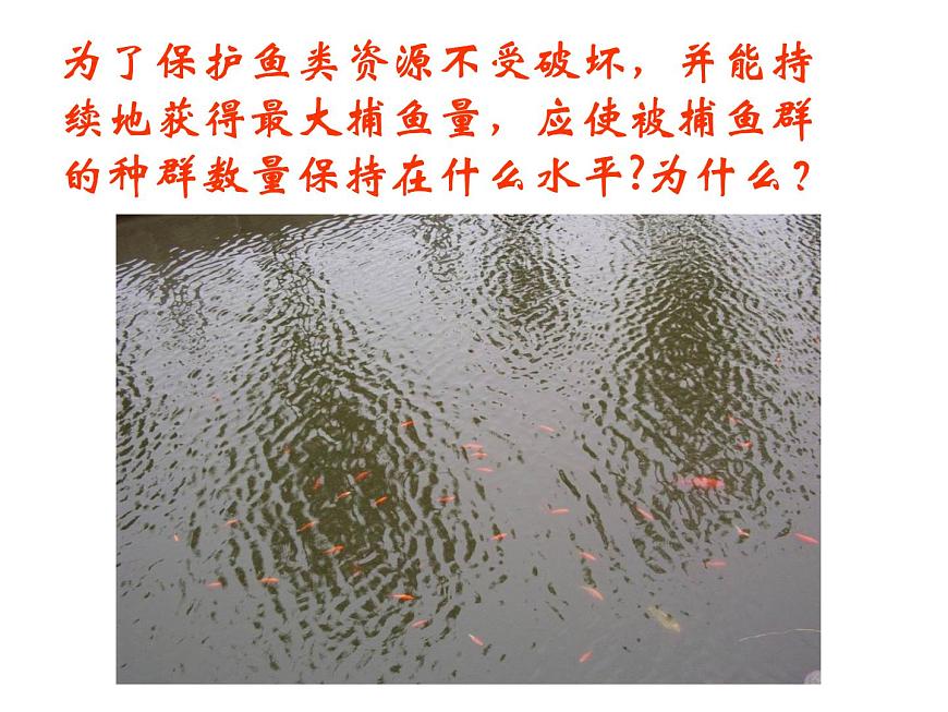 4.2 種群數(shù)量的變化ppt 課件第2頁