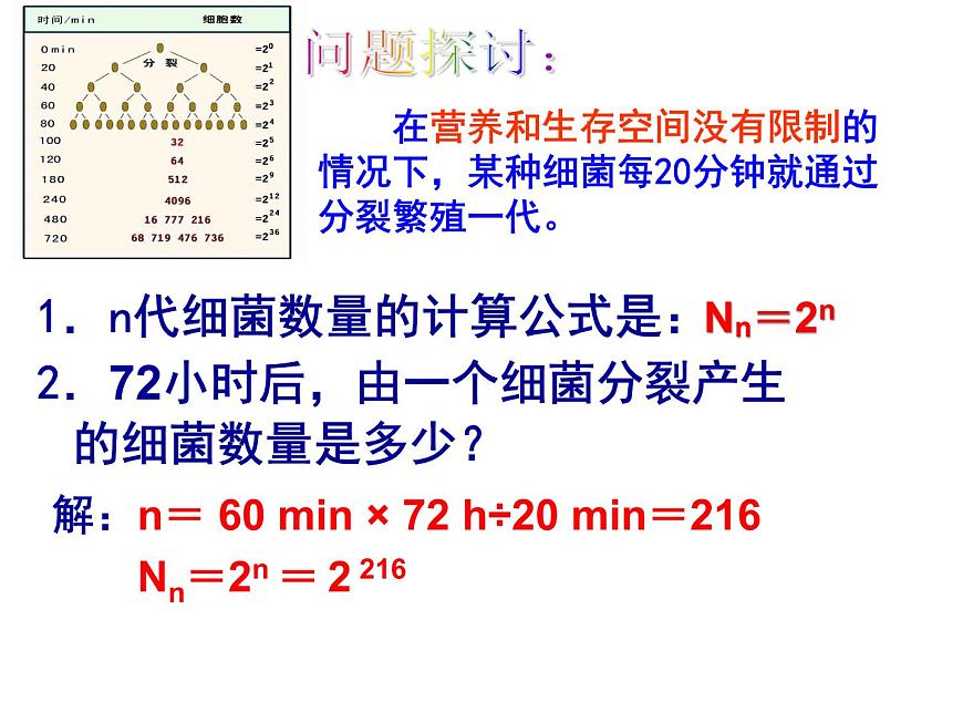 4.2 種群數(shù)量的變化ppt 課件第4頁