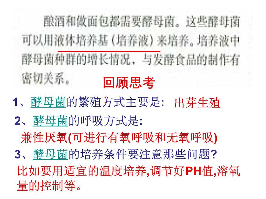 4.2 探究-培養(yǎng)液中酵母菌種群數(shù)量的變化 課件第4頁