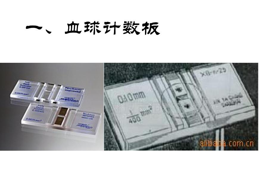 4.2 探究-培養(yǎng)液中酵母菌種群數(shù)量的變化 課件第5頁