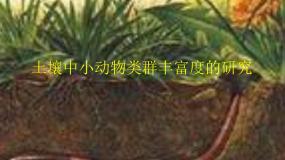 人教版 (新课标)必修3《稳态与环境》第4章 种群和群落第3节 群落的结构教学演示ppt课件