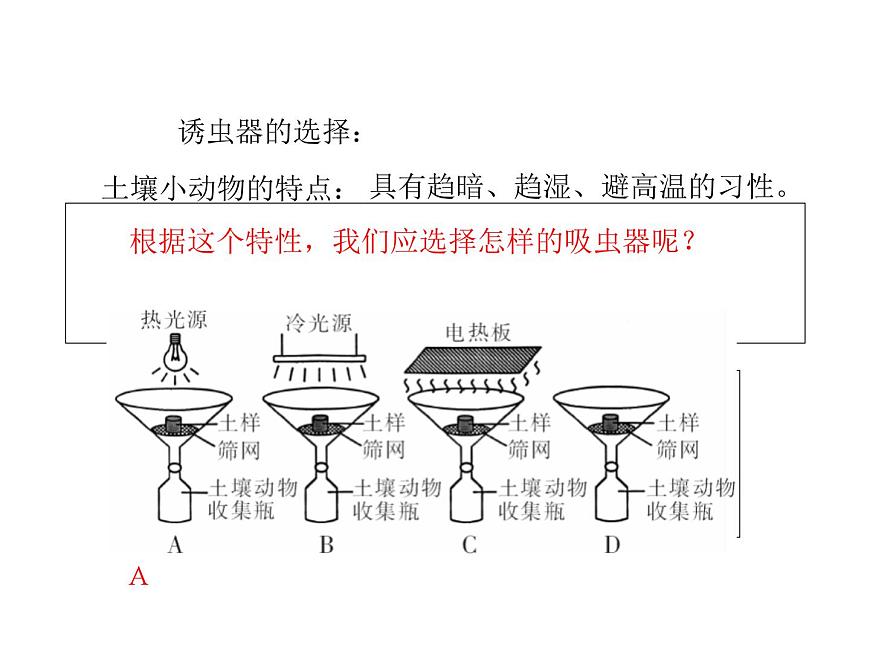 4.3 探究—土壤中小動物類群豐富度的研究 課件第8頁