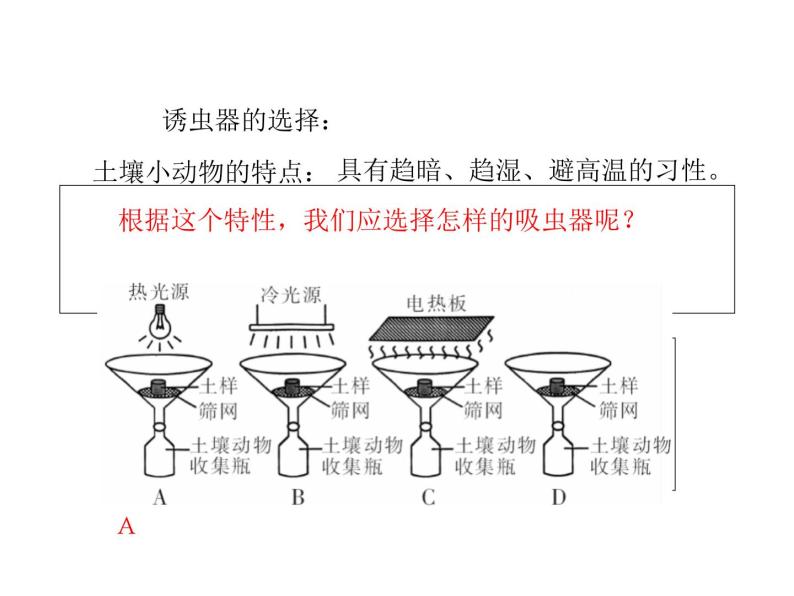 4.3 探究—土壤中小动物类群丰富度的研究 课件08