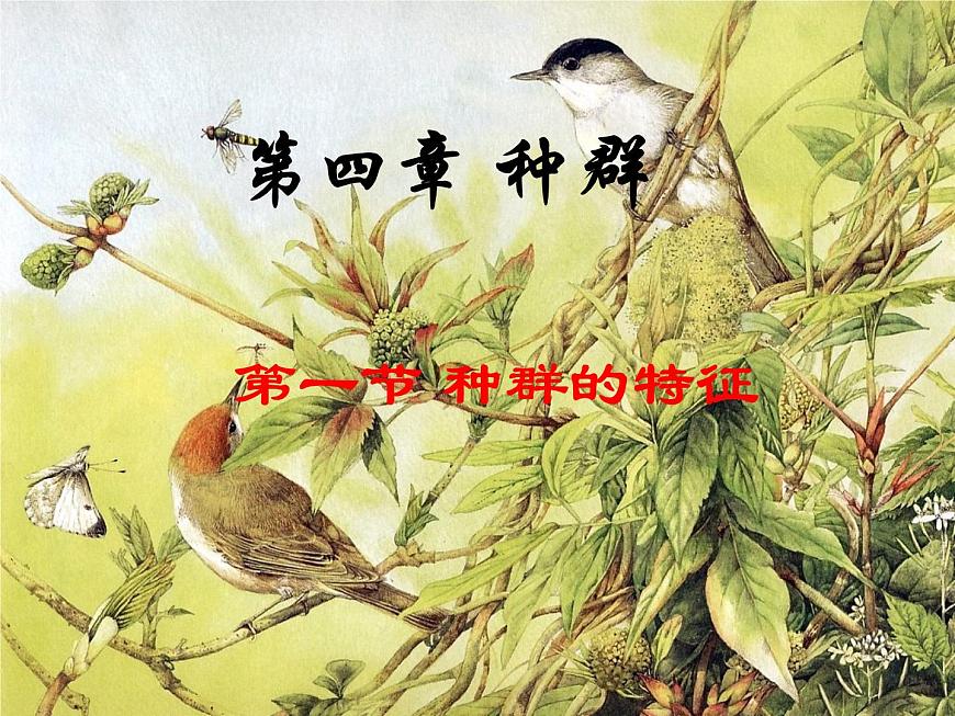 4.1 種群的特征 課件第2頁(yè)