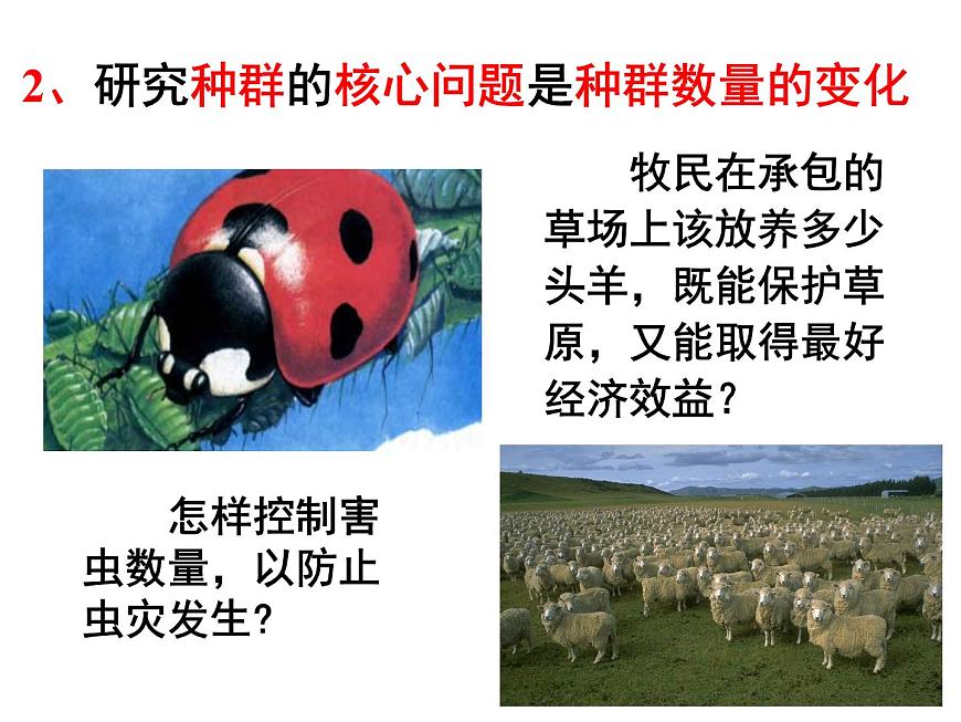4.1 種群的特征 課件第6頁(yè)