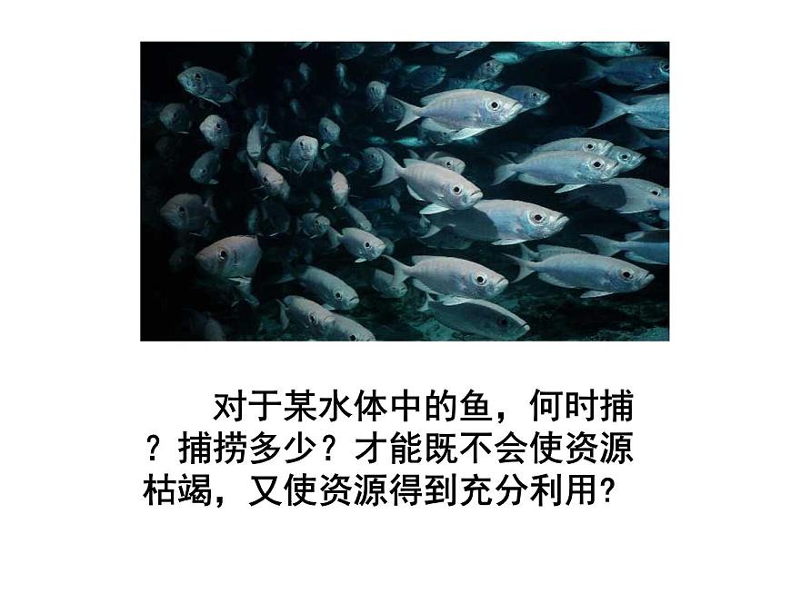 4.1 種群的特征 課件第7頁(yè)