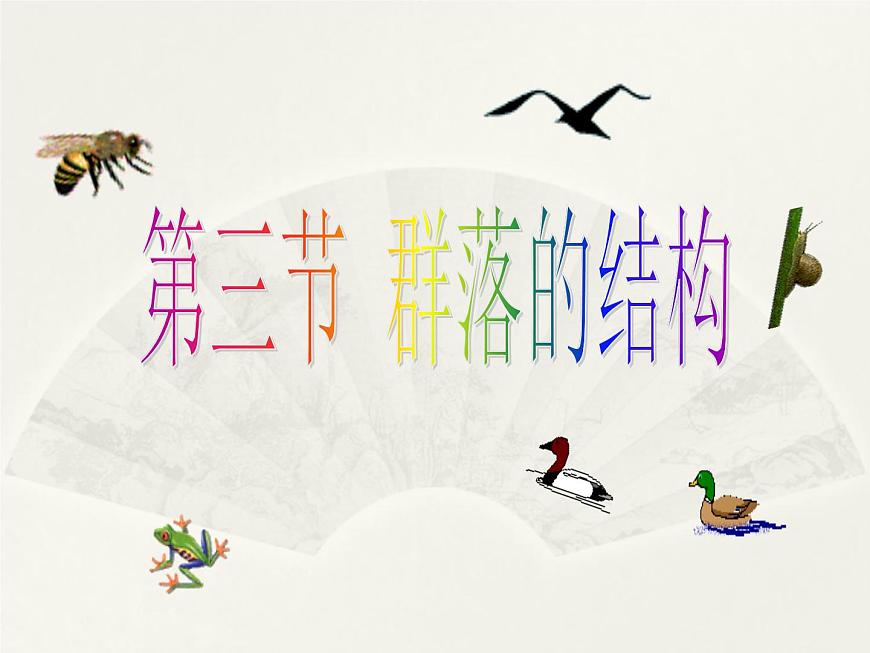 4.3 群落的結(jié)構(gòu) 課件第1頁