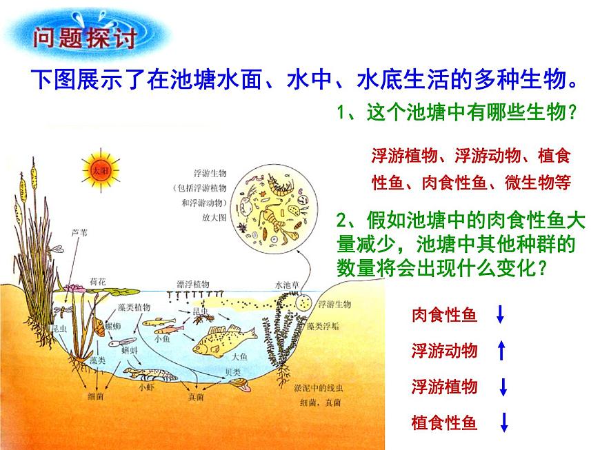 4.3 群落的結(jié)構(gòu) 課件第2頁
