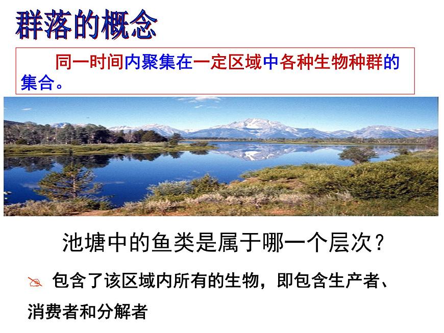 4.3 群落的結(jié)構(gòu) 課件第3頁