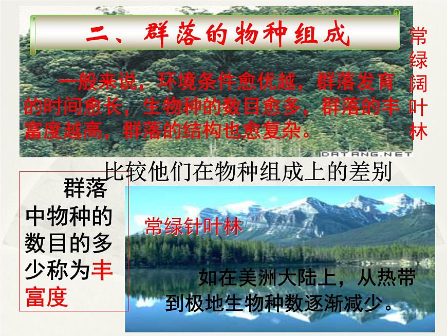 4.3 群落的結(jié)構(gòu) 課件第6頁