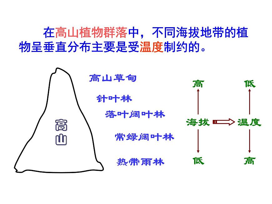 4.3 群落的結(jié)構(gòu) 課件第8頁