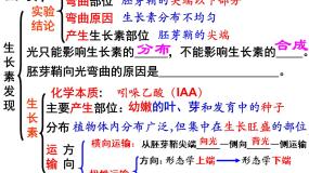 高中生物第2节 生长素的生理作用图片课件ppt