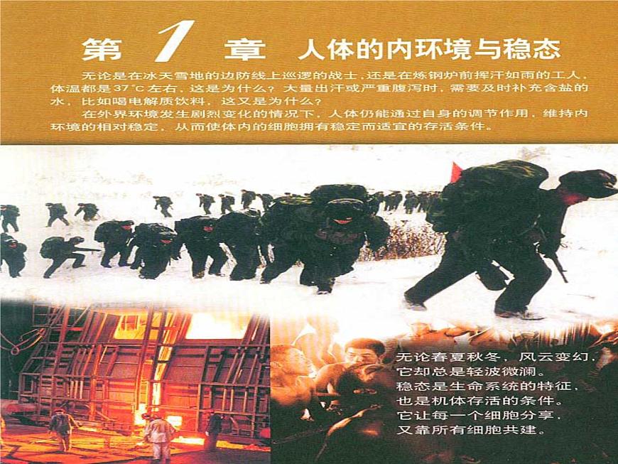 1.1 細胞生活的環(huán)境 課件第6頁