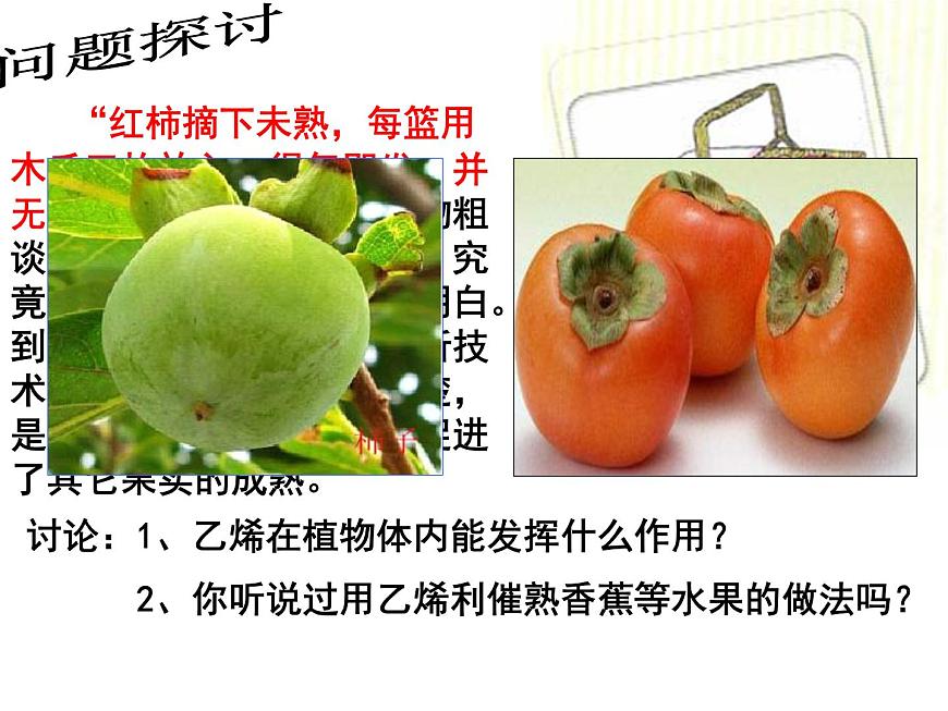 3.3 其他植物激素 課件第2頁