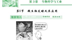 高中生物人教版 (新课标)选修2《生物科学与社会》第1节 微生物发酵及其应用课堂教学ppt课件