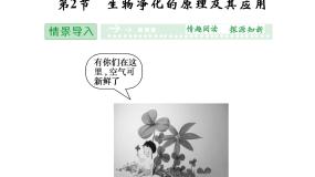 人教版 (新课标)选修2《生物科学与社会》第2节 生物净化的原理及其应用评课课件ppt