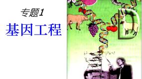 生物选修3《现代生物科技专题》专题1 基因工程综合与测试课文内容ppt课件