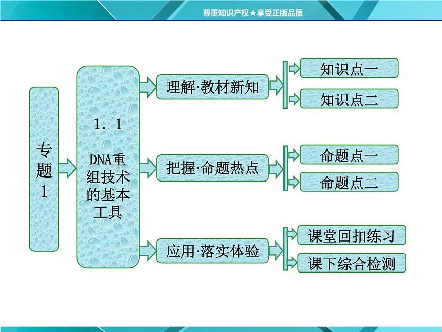 人教版選修3課件 第1部分 專題1 1.1 DNA重組技術(shù)的基本工具第2頁
