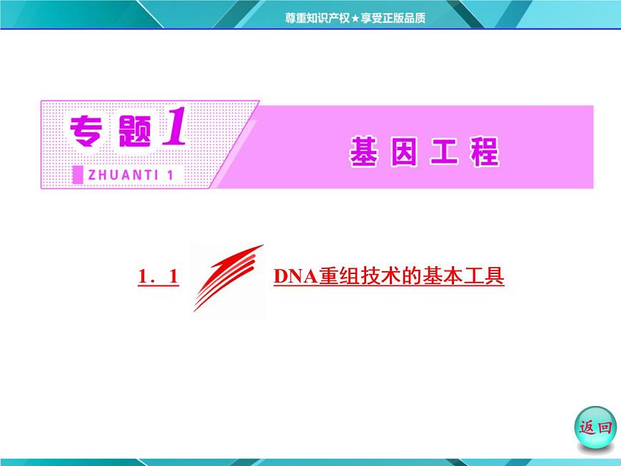 人教版選修3課件 第1部分 專題1 1.1 DNA重組技術(shù)的基本工具第3頁