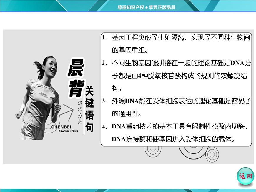 人教版選修3課件 第1部分 專題1 1.1 DNA重組技術(shù)的基本工具第4頁
