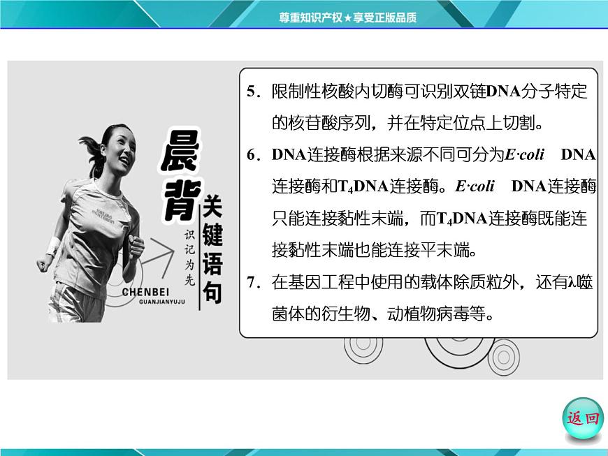 人教版選修3課件 第1部分 專題1 1.1 DNA重組技術(shù)的基本工具第5頁