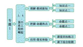 高中人教版 (新课标)专题1 基因工程1.4 蛋白质工程的崛起课文内容课件ppt