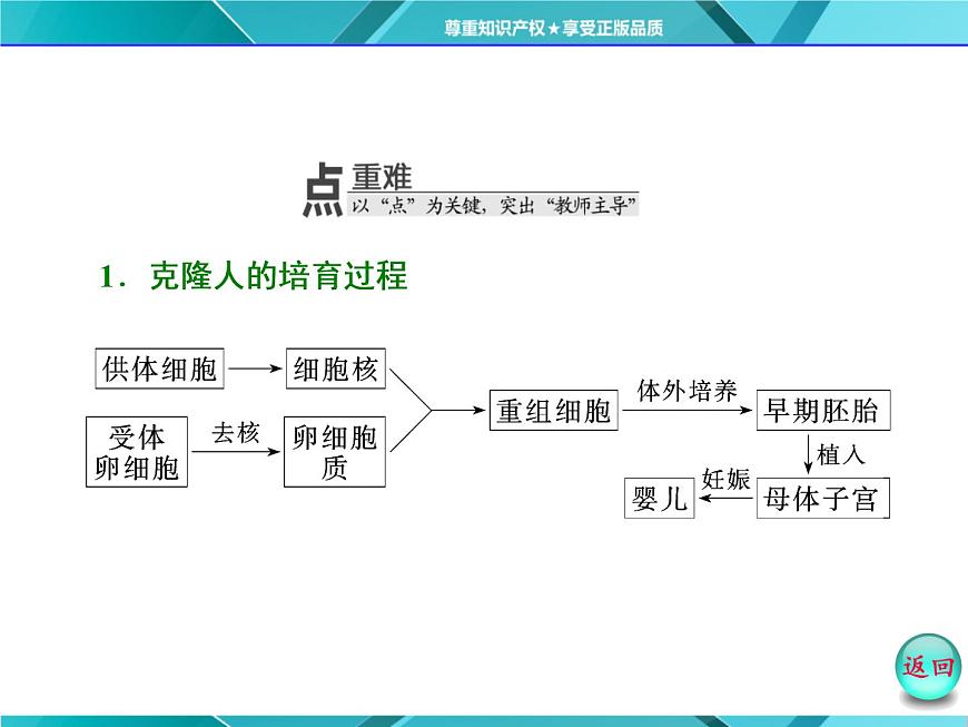 人教版選修3課件 第1部分 專題4 4.2&4.3 關(guān)注生物技術(shù)的倫理問題 禁止生物武器第8頁(yè)