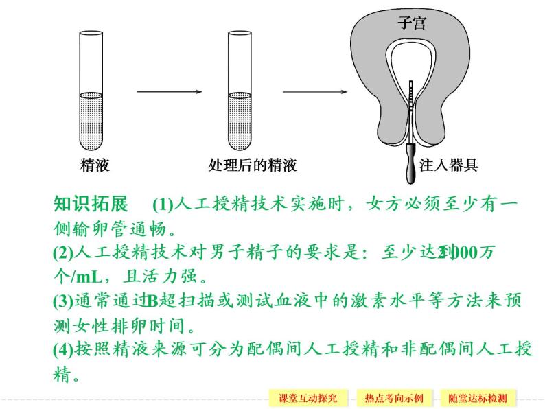 1.4 生殖健康 精品课件（人教版选修2）06