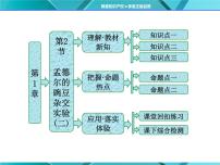 人教版 (新课标)必修2《遗传与进化》第一章 遗传因子的发现第2节 孟德尔的豌豆杂交实验（二）教课课件ppt